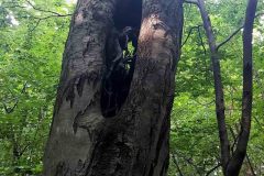 22-Szubjektiven-Lendvai-Agi-foto-net