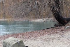 28-Szubjektiven-KZoli-foto-net